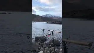 First pike fishing trip of 2024 | Scottish Highlands
