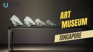 Singapore Art Museum (SAM) | Contemporary Art & Culture in the Heart of Singapore