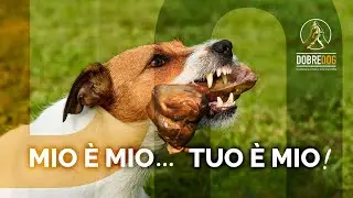 MIO E' MIO, TUO E'... MIO!!!