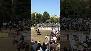 🤠 Adrenaline at the Arena &mdash; Rodeo Action in Dublin Canyon!