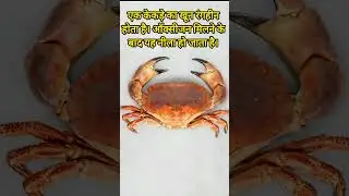 Amazing facts #fscts #crab #trending #sorts #sortvideo #blue