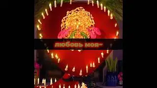 #edit #книгажизни #bookoflife
