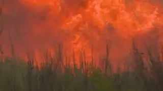 Crews battle forest fires in Portugal