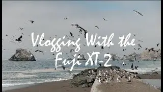 How To Vlog With the Fuji XT2 (I Share My Settings!)
