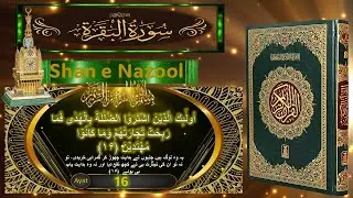 Surah Baqrah | Tarjuma & Shan e Nazool | Unveiling ayat-16 | Orraq |