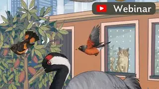 Keep Cats Away: Webinar for World Migratory Bird Day 2025