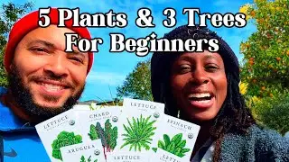 5 Plants & 3 Trees You&rsquo;ll Want in Your Small Garden Right Now! 🏡🌳