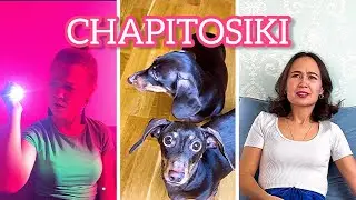 ЧАПИТОСИКИ ПОДНИМУТ ВАМ НАСТРОЕНИЕ II CHAPITOSIKI⭐😜