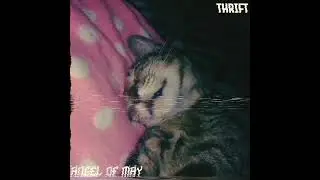 Angel of May - Thrift