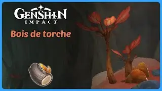 Bois de torche | Route de farm | Genshin Impact