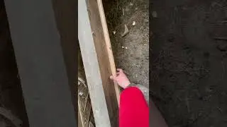Конструкция деревянных полов #строительство #утепление #пол