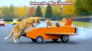 मज़ेदार बिल्ली पायलट ✈️ | Cats Driving Planes | Cute Cat Video | #aivideo #cartoon #cat #viralvideo