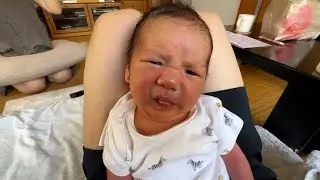 20240806 かなた