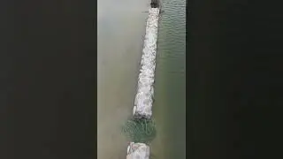 un paso en falso y al agua