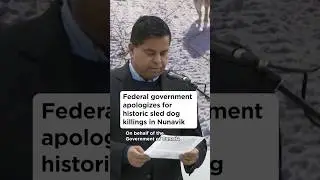 Federal government apologizes for historic sled dog killings in Nunavik