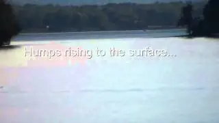 Unknown Serpentine Animal in Lake Champlain