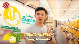 SEGALA JENIS OLAHAN CARICA ADA DI SINI | CARICA SUNRISE DIENG