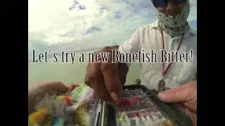 Fly fishing for Bonefish in Xcalak, Mexico, feb 2015.