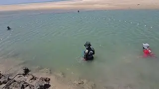 No meio do mar, senti uma puxada diferente… quando puxei, vi que NÃO era peixe comum!