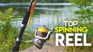10 Best Spinning Reels 2019