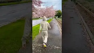 He Thought I Was Acting Like A Monkey 🤣Lol #cherryblossom #newzealand #funny #comedy #humor #couple
