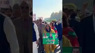 Azam swati and other senators protesting #imrankhan #pti