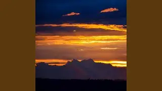 Пали