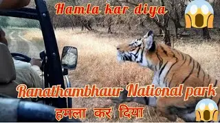 Ranathambhaur prakrtik sundarta ka khajana | India tour video 20 | Ranathambhaur National park Drone