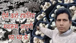 Mushroom Ruffling Ka Complete Process 🍄🔥 | Step by Step Button Mushroom Farming