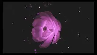 Alex & Sierra - Little Do You Know (slow+reverb+rain)