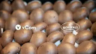 Monterey Mushrooms: A Story About Evolving Telecom Education and Solutions with vCom