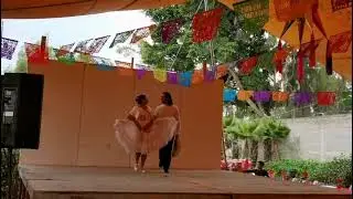 Huasteca Ver. Caimán, Caballito, Orquídea. Meztli-Xochitl, 