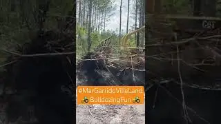 #Bulldozing one of the pine forests! New trails soon! #MarGarridoVille Land #HeavyEquipment #Shorts