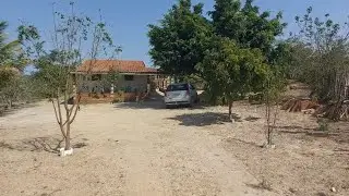 CHÁCARA À VENDA COM MUITAS FRUTEIRAS E UMA ÓTIMA CASA NA CIDADE DE ARCOVERDE PERNAMBUCO