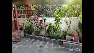 Thapa Home Stay/Parking Areas/Beautiful Gardens Views