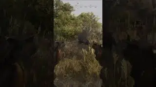 Hunt Showdown 1896 Funniest Clutch Ever Recorded