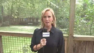 Wild About Animals: Meet the alligators at the Birmingham Zoo