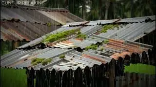 Sounds Of Rain And Thunder For Sleep - Rain Sounds For Sleeping - Thunderstorm Sounds, White noise