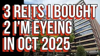 3 REITs I Bought, And 2 I&rsquo;m Eyeing In October 2025 (NOT Recommendation)