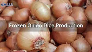 Sinocharm BRC A Factory Frozen Onion Dice Production
