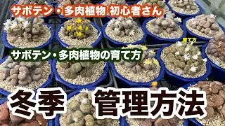 【サボテン・多肉植物】　2024年12月　冬の管理方法