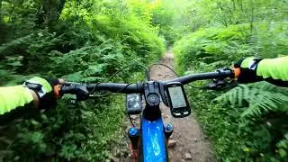 Llwyn Celyn Forest DH MTB section