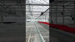 🌟 Revolutionize Greenhouse Management with BAOLIDA's Automatic Climate Control System! 🌟