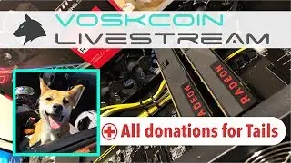 8x GPU Mining Rig Build Livestream + All Donations for Tails Medical + VoskCoin Q&A