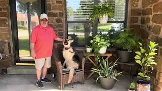 Oklahoma City Dog Training 7 - Tip Top K9 ￼