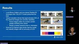 MIT808 2025 GR 2 Estimating an Elephant Population Structure Using Machine Learning