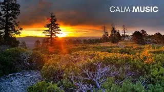 Lockdown Relaxing Music - Sleep Therapy, Calm Music, Sleep Meditation