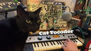 Cat &times; Vocoder