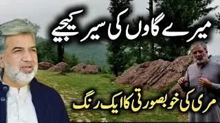 The enchanting beauty of Aliot- my hometown in Murree | Ansar Abbasi | AAVIEWS