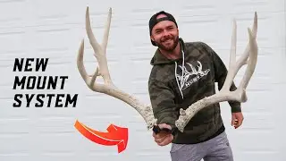 HOW I MOUNT MY SHED ANTLERS | SETS AND SINGLES